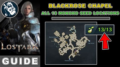 All 13 Blackrose Chapel Mokoko Seeds Location In Lost Ark East