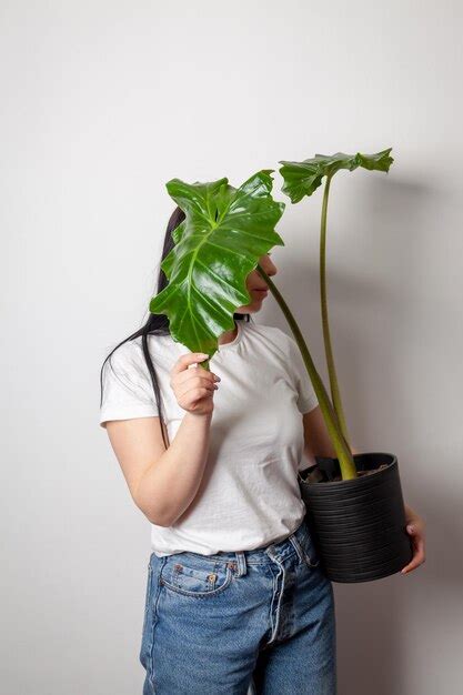 Mujer Florista Sosteniendo Una Maceta Con Planta De Oreja De Elefante