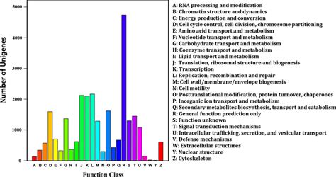 Cog Function Classification Of All Unigene The Horizontalcoordinates