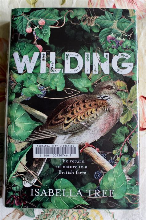 Rewilding a farm in England