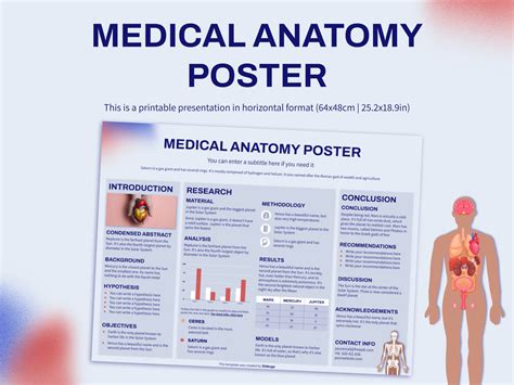 medical anatomy poster