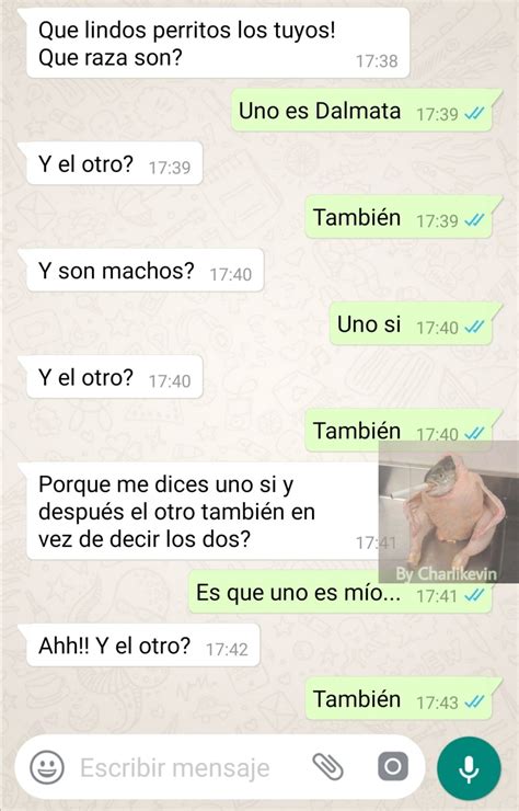 Whatsapp Conversacione Meme Whatsapp Memes