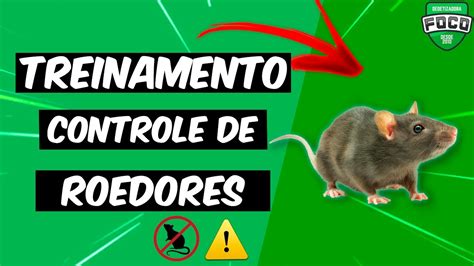 Controle De Roedores Ratos Treinamento Youtube