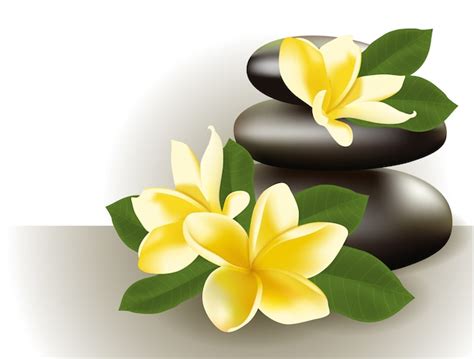 Dos termas vida ainda flor do frangipani ilustração Vetor Premium