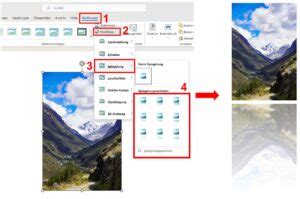 Word Bild Spiegeln Alle Optionen Im Berblick Bild Anleitung