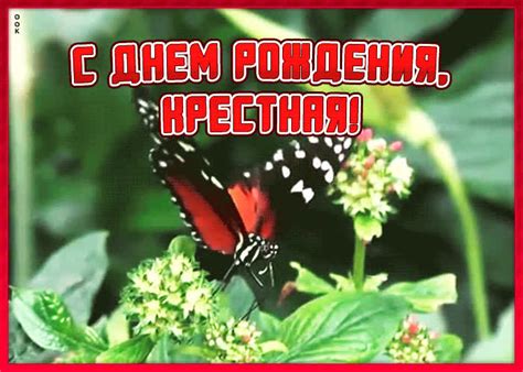 Открытка с днём рождения крестной от крестника | Открытки Онлайн