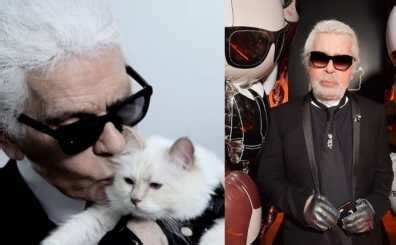 Karl Lagerfeld cat News - Latest Karl Lagerfeld cat News, Breaking Karl ...