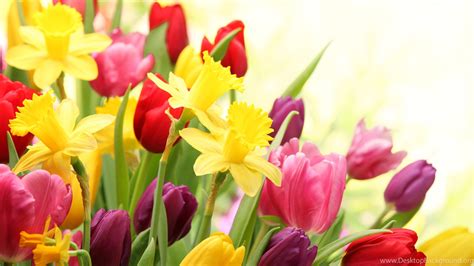 Spring Wallpapers For Desktop 68 Images