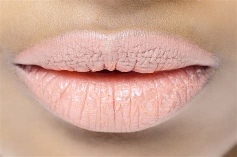 Rossetto Nude Come Scegliere Quello Giusto Grazia It