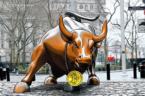 All About Crypto Bull Run 2021