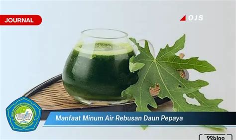 Intip 6 Khasiat Air Rebusan Daun Pepaya Yang Bikin Kamu Penasaran E