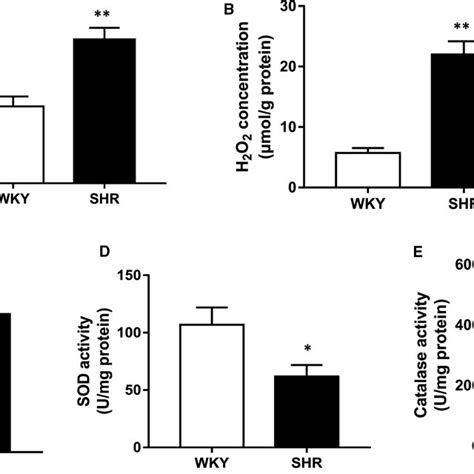 Increased Reactive Oxygen Species Ros Level And Reduced Antioxidant