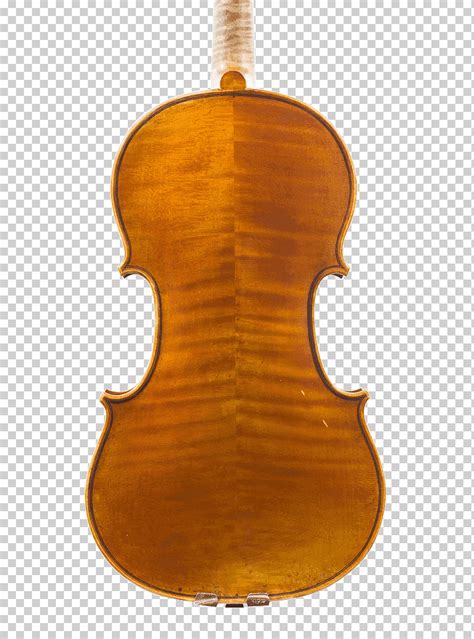 Bajo Viol N Viola Violone Absam Viol N Contrabajo Arco Viol N Png