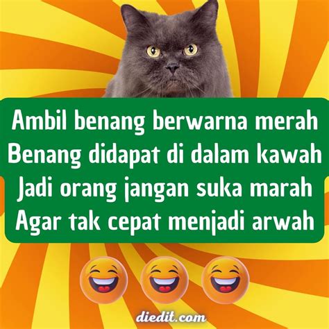 35 Contoh Pantun Lucu Singkat Buat Ketawa