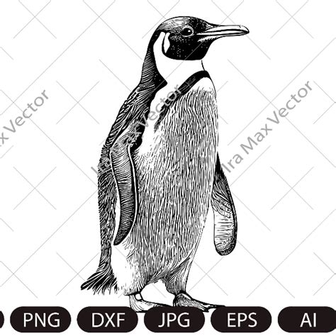 Penguin Svg King Penguin Svg Sea Animal Svg Penguin Silho Inspire