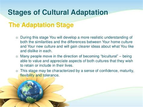 Cultural Adaptation By The Positive Expat