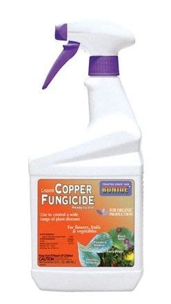 Best Fungicides For Powdery Mildew Snow Mold Treatment Review 2022