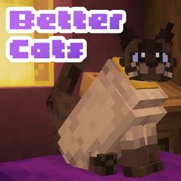 Better Cats Screenshots Minecraft Resource Packs CurseForge