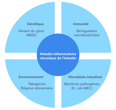 Microbiote Humain Et Sant Nde Cours Svt Kartable