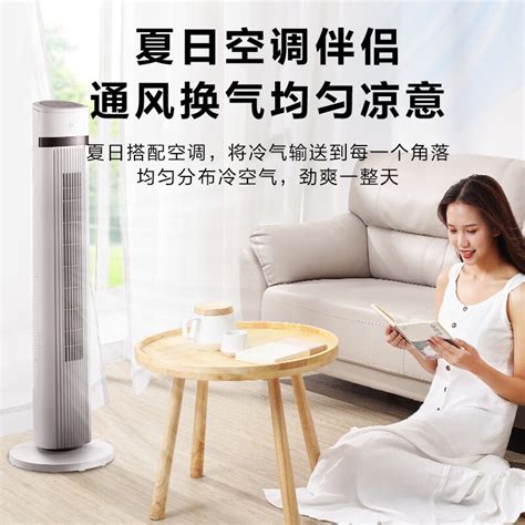 美的 Midea 生活小家电ZAE09MA报价 参数 图片 视频 怎么样 问答 苏宁易购