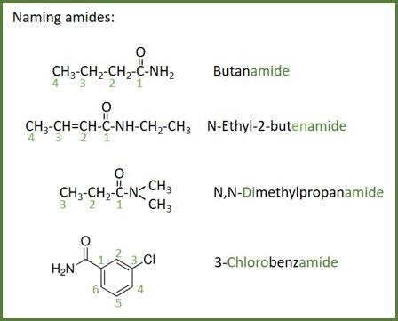 Amides Examples