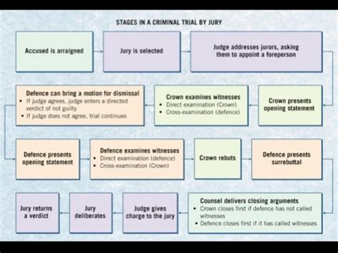 Criminal Trial Process by David Dickinson