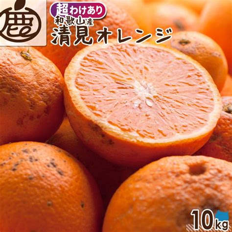 超わけあり 清見オレンジ 10kg 【 送料無料 Ksロットa 訳あり 清見 オレンジ 清見タンゴール きよみ 和歌山 柑橘 産地直送