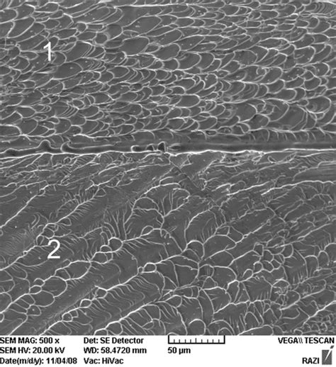 Sem Micrographs Of The Fracture Surface Of Monolithic Cu50zr43al7 Bulk