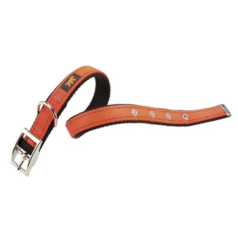 Нейлоновый ошейник для собак Ferplast Dual Cf 27-35