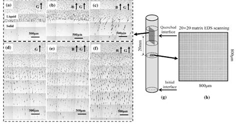 The Morphologies Of Liquid Solid Interface On The Longitudinal Section