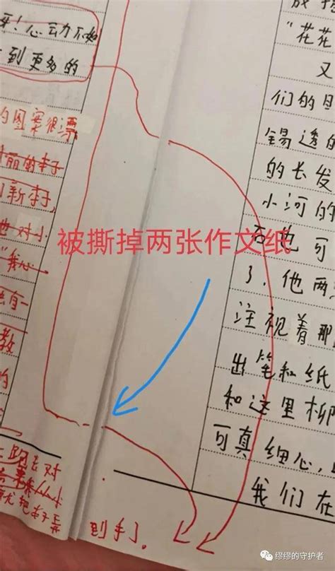 小学生作文课后跳楼：缪可馨走了，那些被暴力对待的孩子怎么样了马伊琍