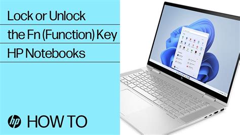 What Are Function Keys On Hp Laptop - Catalog Library