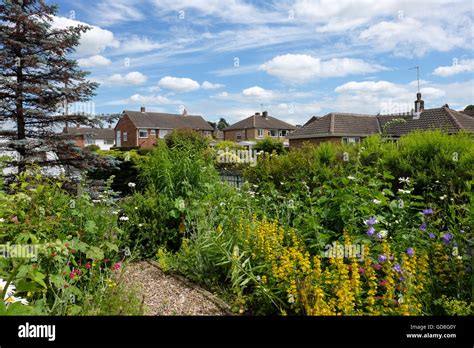 Suburban Front Garden Full Of Flowers Stock Photo Alamy