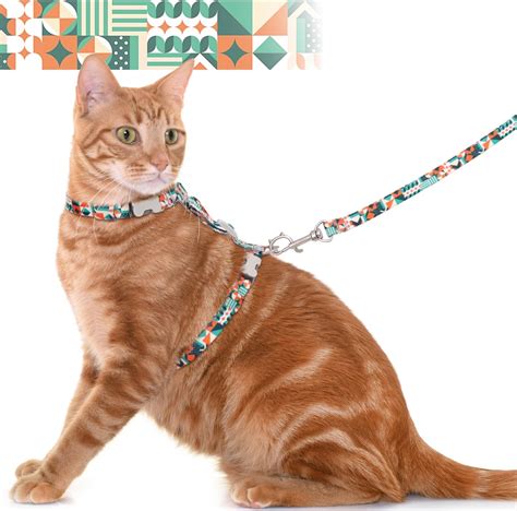 Pet Supplies Cat Harness And Leash Set For Walking Cat Harness