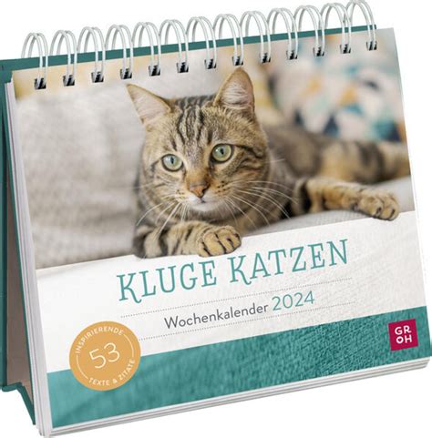 Wochenkalender Kluge Katzen Groh Verlag