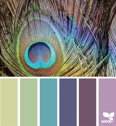 Peacock Hues Design Seeds Design Seeds Seeds Color Color Schemes Colour Palettes