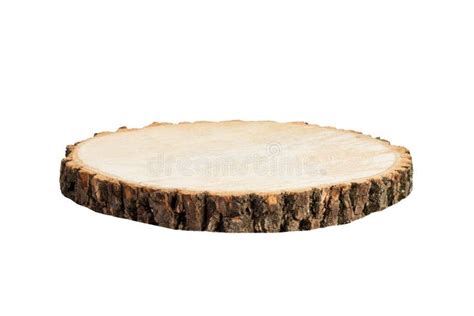 Wooden Stump Isolated Cross Section Of Tree Trunk Isolated On White