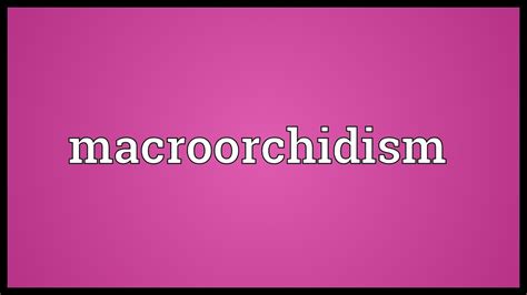 Macroorchidism Meaning - YouTube