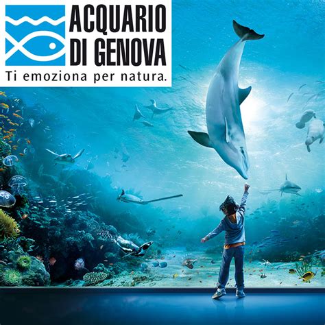 Il Circolo It Acquario Di Genova Costo