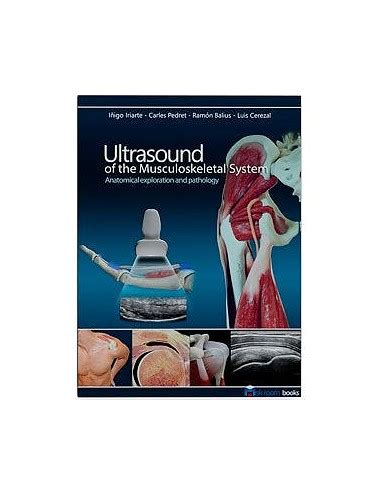 Ultrasound Of The Musculoskeletal System E Anatomical