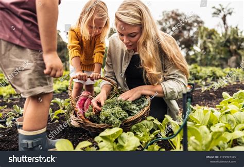 107801 农场助手 图片、库存照片和矢量图 Shutterstock