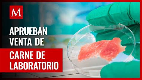 Estados Unidos Aprueba La Venta De Carne De Pollo Cultivada En