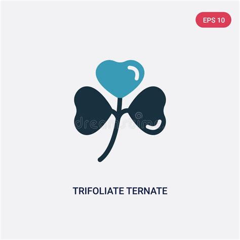 Two Color Trifoliate Ternate Vector Icon From Nature Concept Isolated