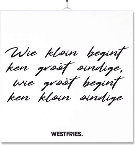 Tegel Met Opdruk Grappig Humor Verjaardag Kado Westfries Wie