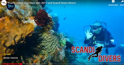 puerto-galera-dive-sites-philippines - Scandi Divers Resort - Puerto ...