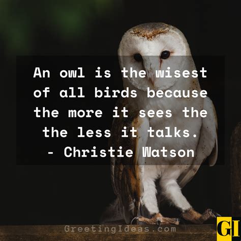 20 Wise Old Owl Quotes, Sayings and Phrases