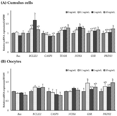 The Mrna Expression Levels Mean Sem Of Apoptosis Mitochondrial