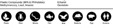 Figure From Role Of Epigenetic Transgenerational Inheritance In