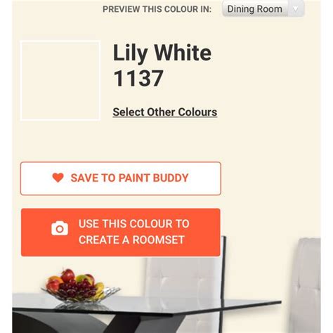 Nippon Paint All In Odourless Lily White Furniture Home