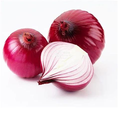 A Grade Maharashtra Big Onion, Packaging Size: 50 Kg, Onion Size ...